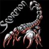   crazy scorpion